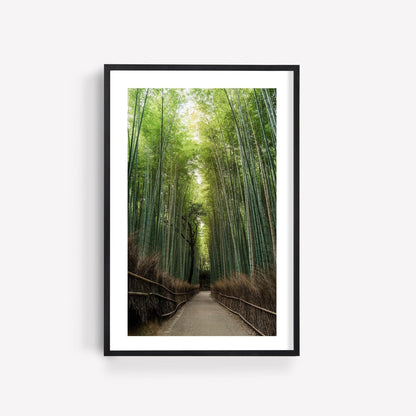 The Arashiyama Bamboo Grove is a framed photo showcasing a scenic bamboo forest path with lush green foliage set against a light background.