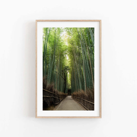 Framed photo titled Arashiyama Bamboo Grove, showcasing a serene bamboo forest with a path winding through towering green stalks.