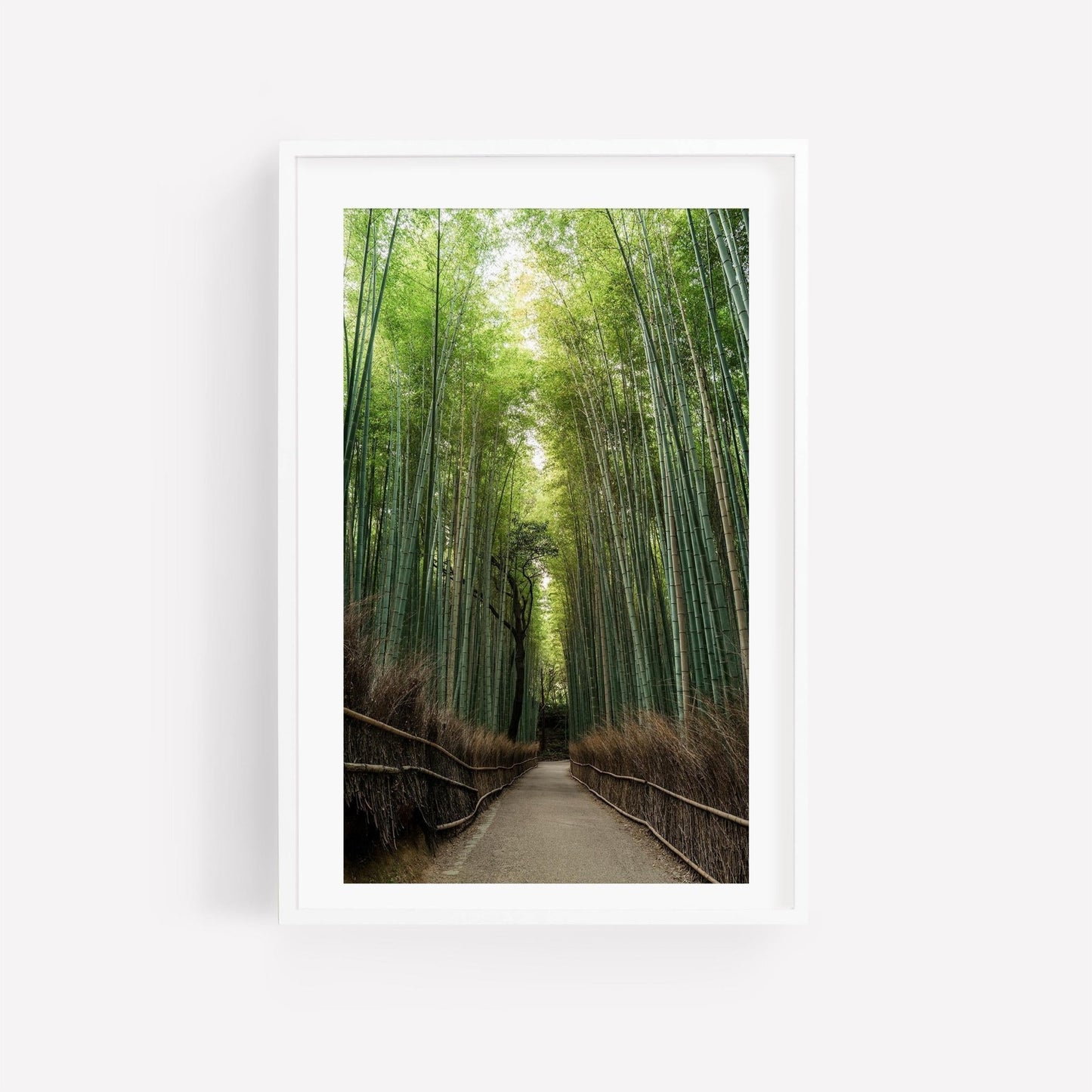 Framed photo titled Arashiyama Bamboo Grove featuring a serene path surrounded by tall, lush green bamboo trees.