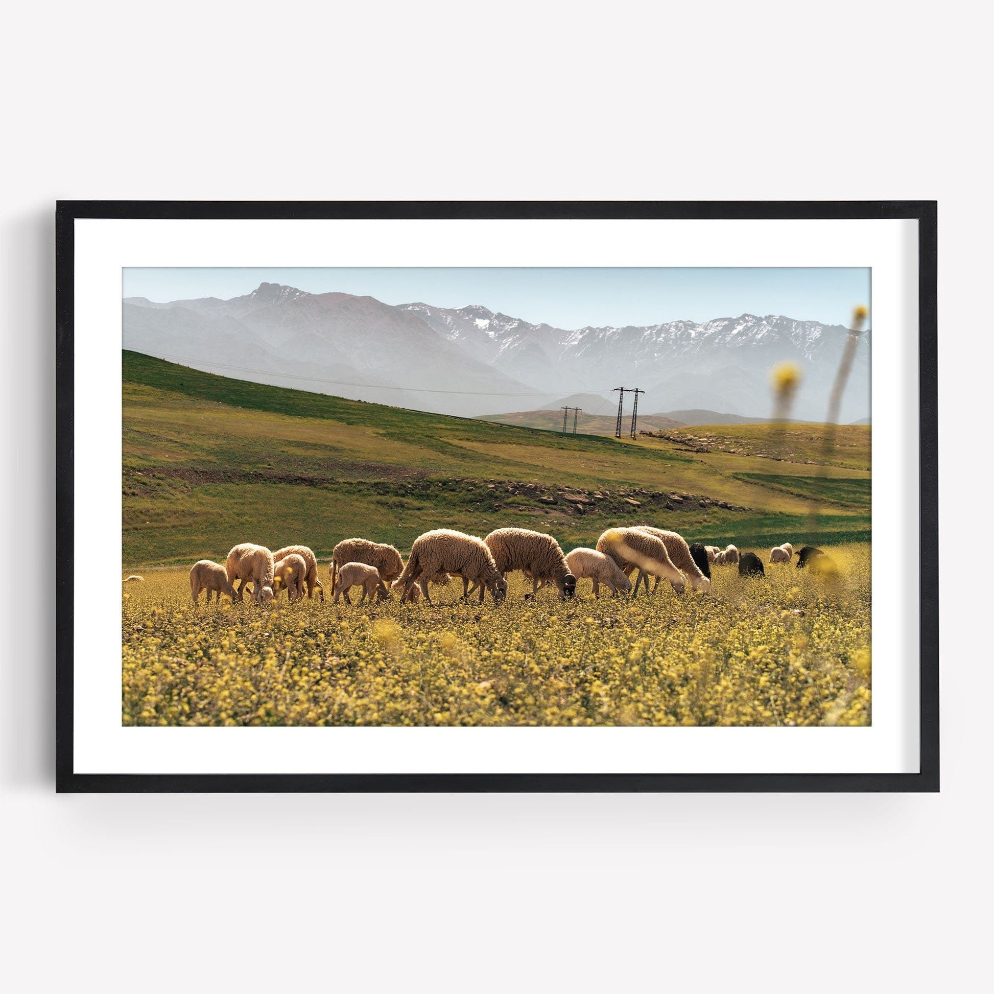 Framed photo titled Atlas Mountains I featuring sheep grazing with mountains in the background.