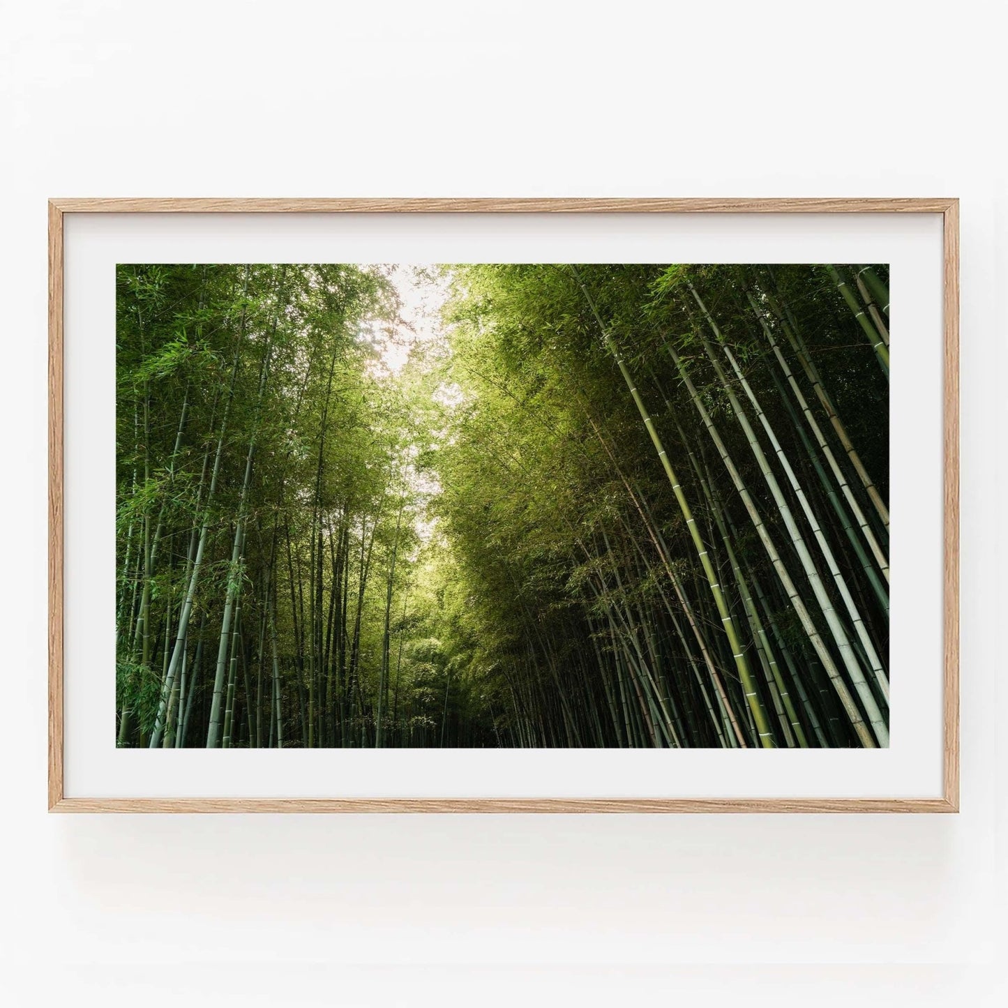 Bamboo Forest I Japanese print in natural wood frame.