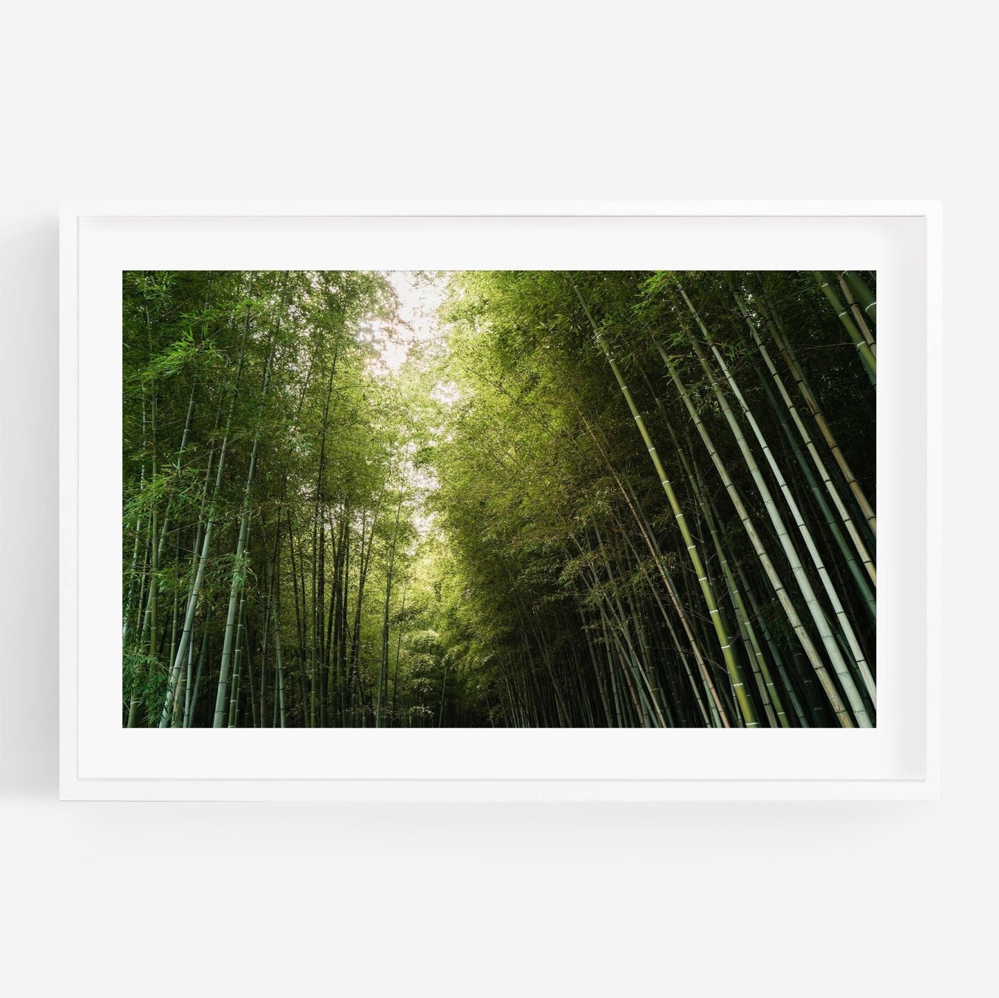 Bamboo Forest I Japanese print in white frame.