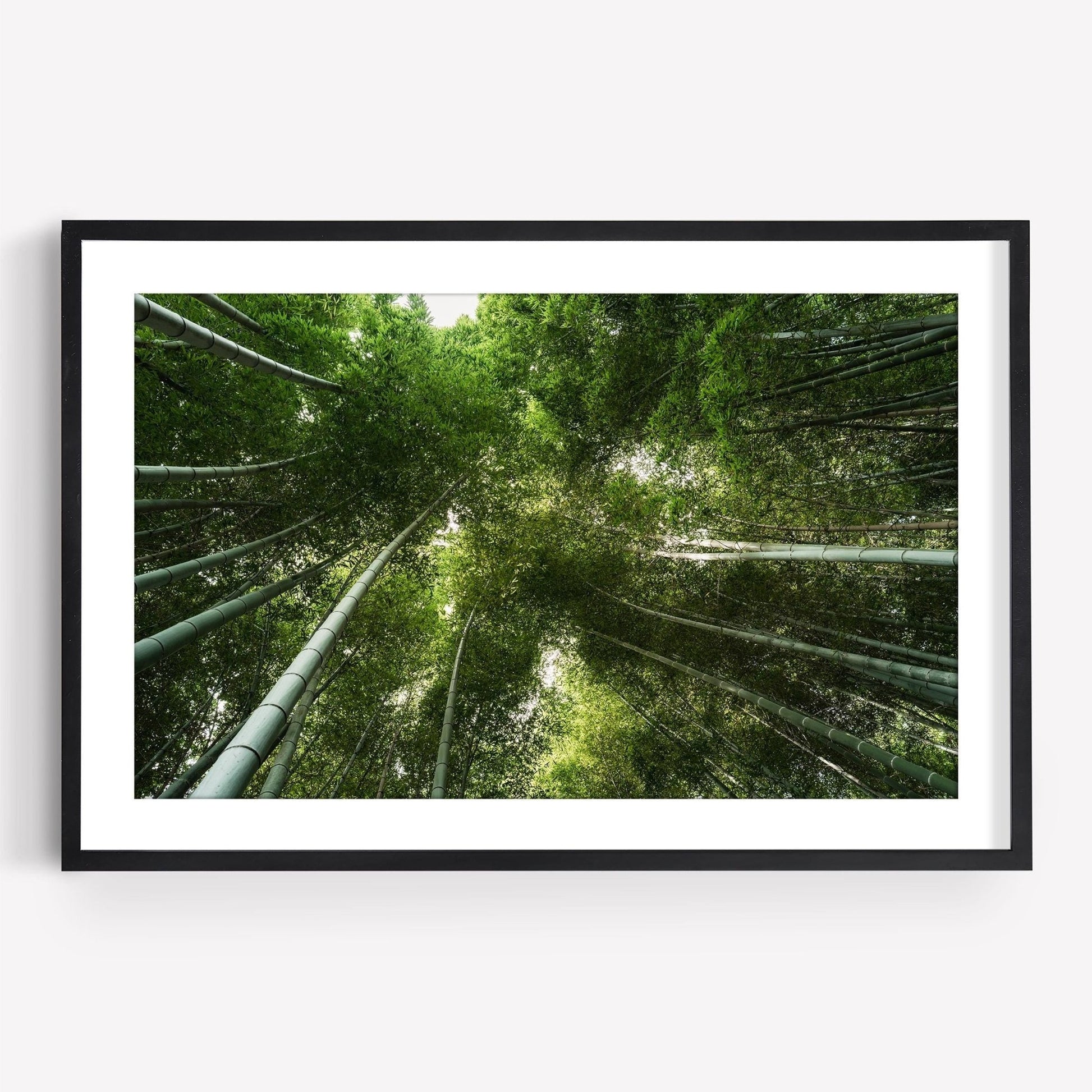 Framed photo titled Bamboo Forest II showcases tall green bamboo trees reaching skyward, viewed from below with bright sunlight filtering through.