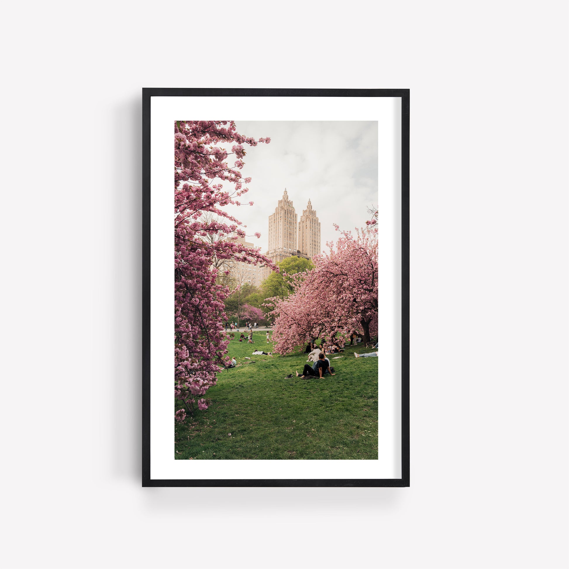 Framed photo titled "Cherry Blossom I" featuring blooming pink trees, people on grass, and city buildings in the background.