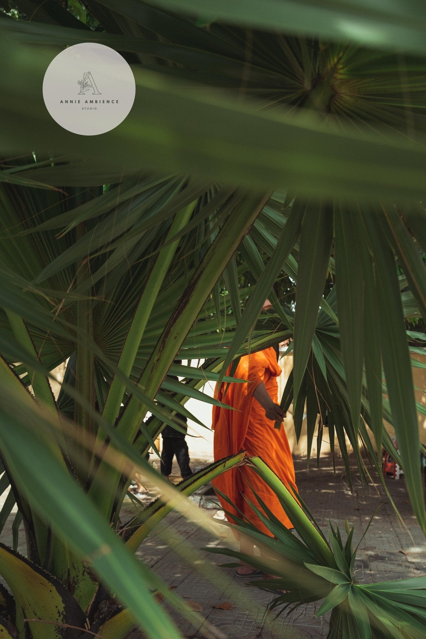 A person in an orange robe walks through large green palm leaves on a sunlit path from the Cambodian Culture - Set of 3.