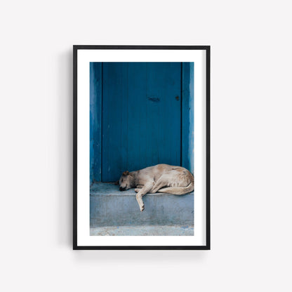 Framed Chefchaouen Dog photo shows a sleeping dog on steps in front of a blue door.