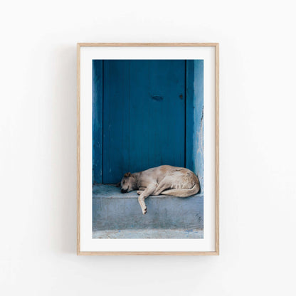 Framed photo Chefchaouen Dog shows a dog sleeping by a blue door.