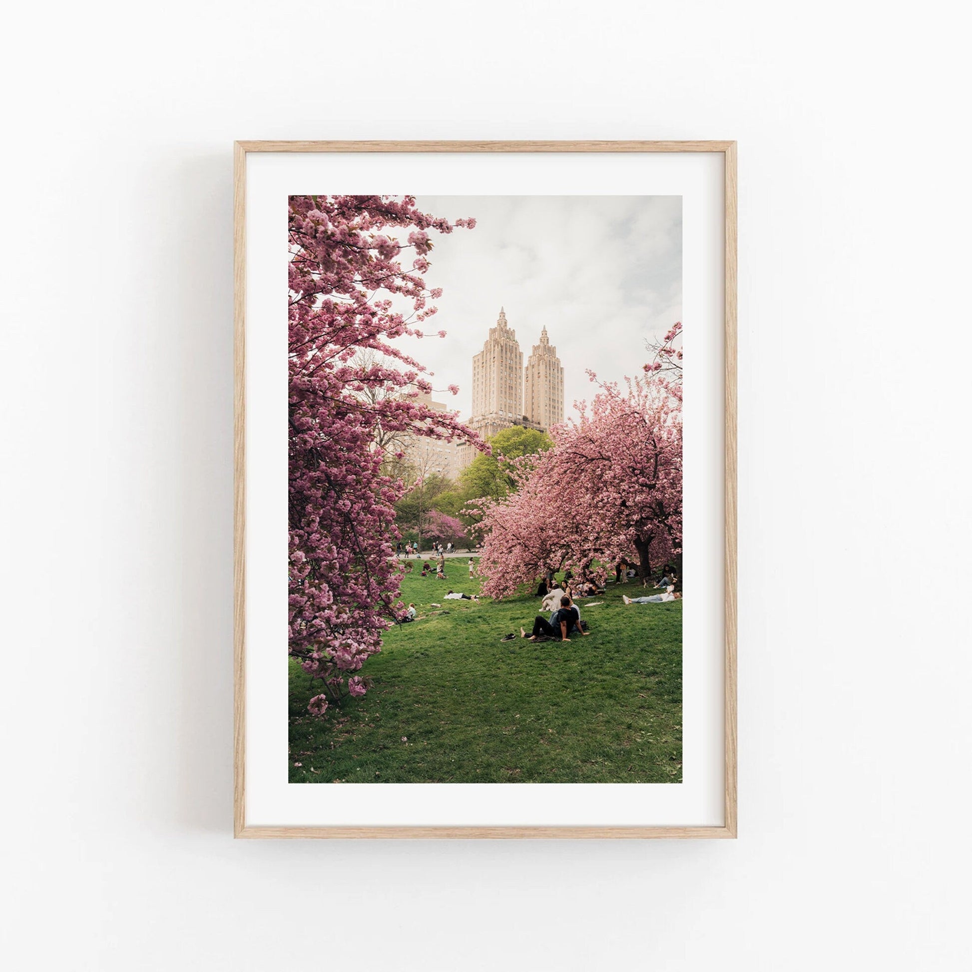 Cherry Blossom I framed photo: people relaxing under cherry blossoms with tall buildings in the background.