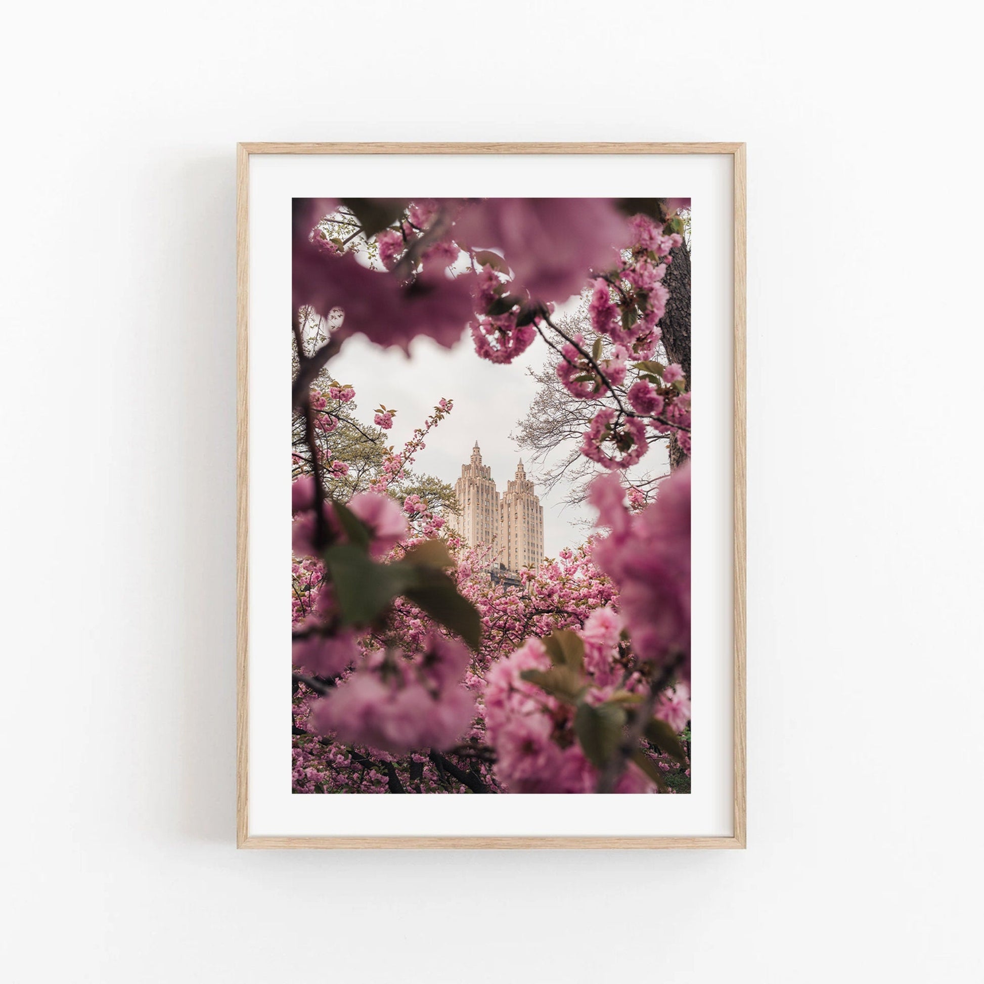 Framed photo: Cherry Blossom II, featuring a castle-like building surrounded by blooming pink cherry blossoms.