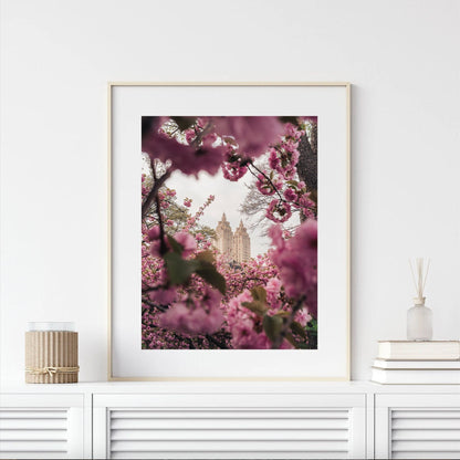 The Cherry Blossom II framed photo shows a building seen through pink blossoms, displayed on a white shelf with candles and a vase.