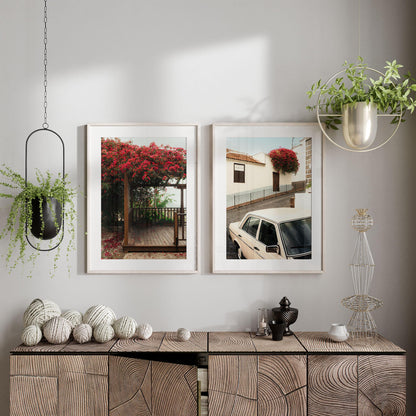 Classic Bougainvillea - Set of 2 adds vibrant color to a cozy room with wooden cabinet, art, and potted plants.