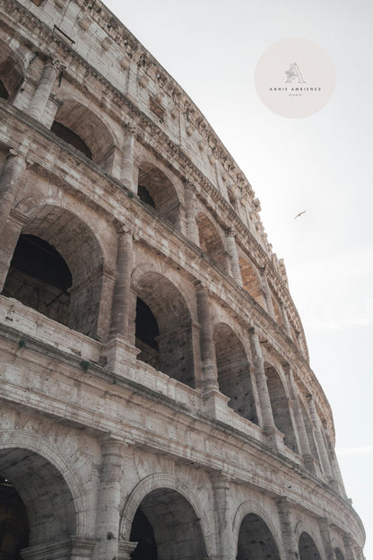 Product shot of Colosseum II under a clear sky, featuring a bird flying above.