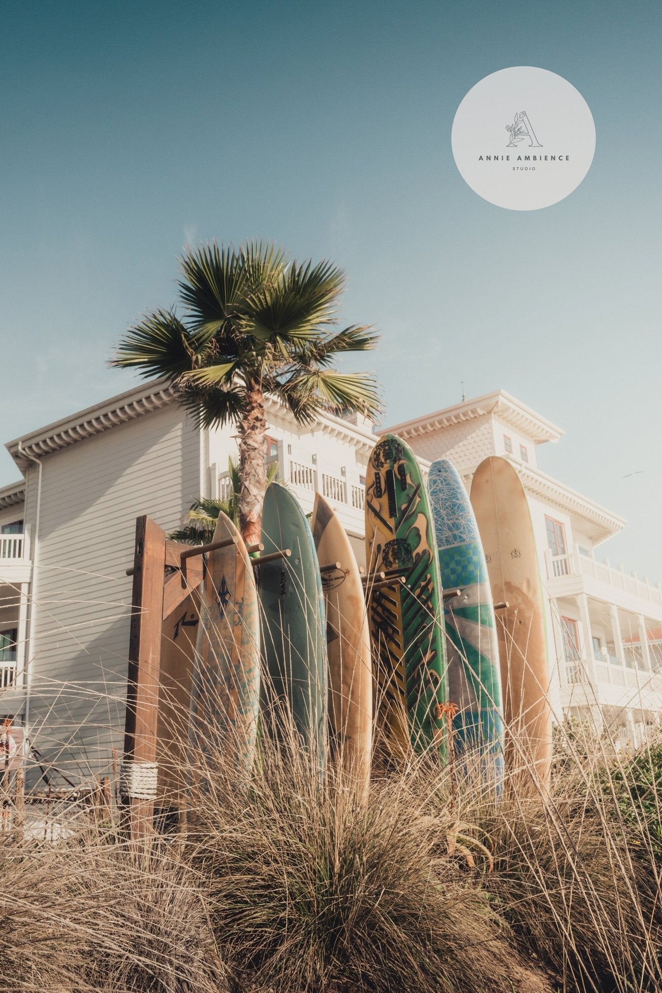 Coronado Surfboards line a beach house, surrounded by palm trees and tall grass under a clear blue sky.