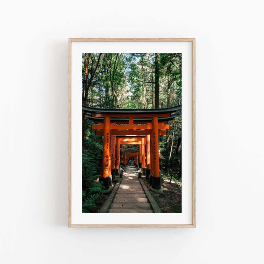 Photo of Fushimi Inari Taisha I, a framed picture of a path through red torii gates in a forest, hung on a white wall.