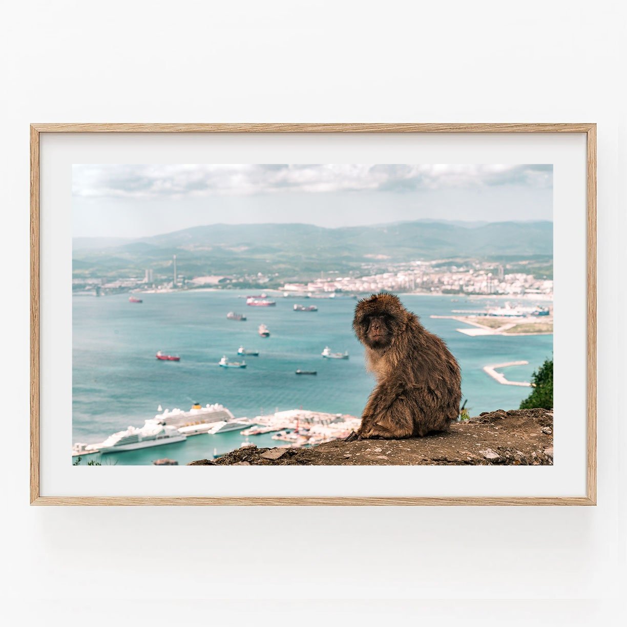 Gibraltar Monkey Botanical and Wildlife - Annie Ambience