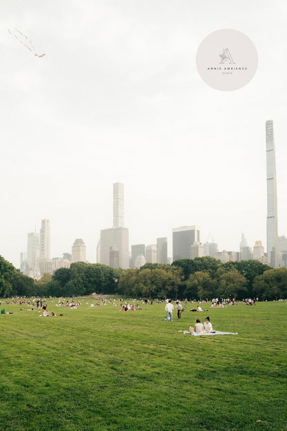 People relaxing on Great Lawn II in a park with the city skyline in the background.