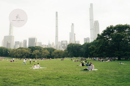 People relax on the Great Lawn with skyscrapers in the background.