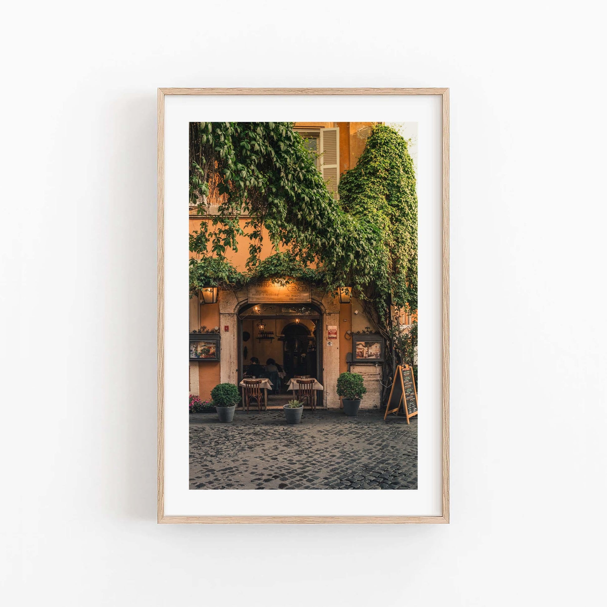 Green Vines Trastevere Rome Photography Print Framed Italian Wall Art Italy Art European Travel Photography Trastevere Rome Print Home Decor