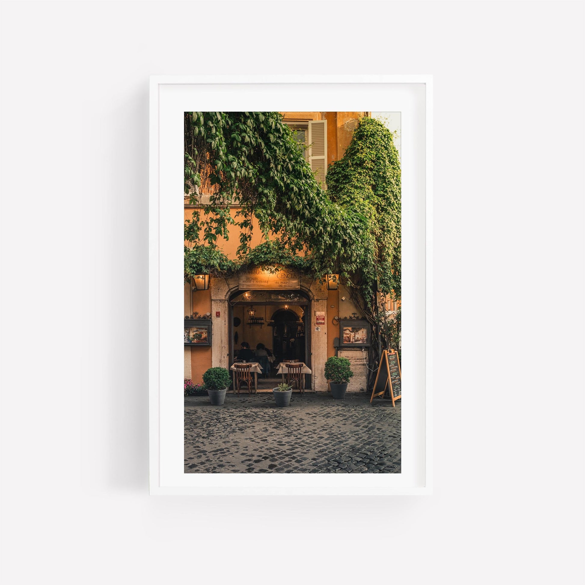 Green Vines Trastevere Rome Photography Print Framed Italian Wall Art Italy Art European Travel Photography Trastevere Rome Print Home Decor