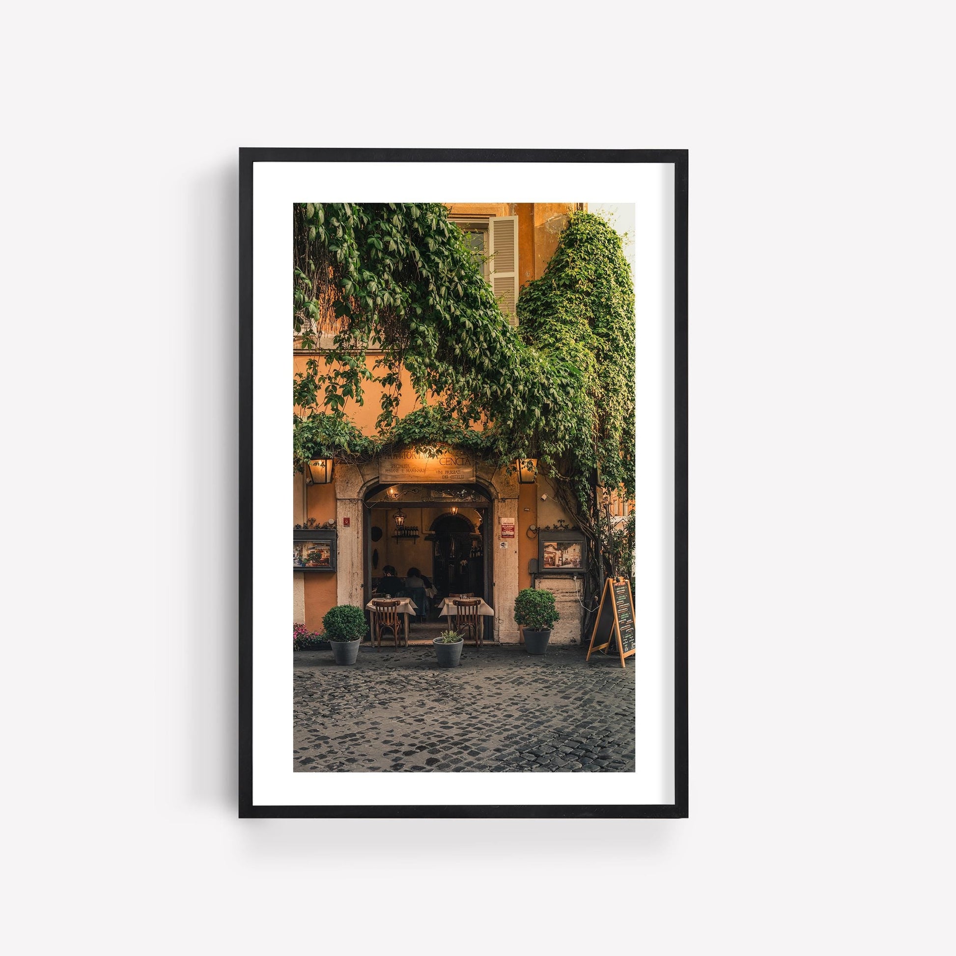 Green Vines Trastevere Rome Photography Print Framed Italian Wall Art Italy Art European Travel Photography Trastevere Rome Print Home Decor