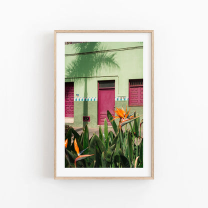 Framed Hot House Paradise photo: green building with pink doors, orange flowers; displayed on a white wall.