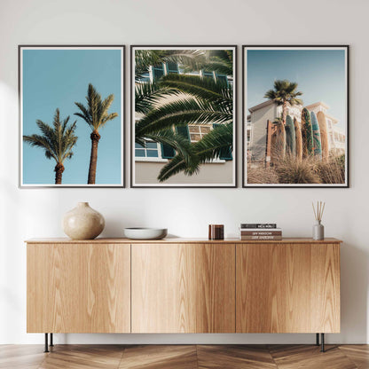 Palm Tree Fine Art Photography Set of 3 - Framed Tropical Art, Palm Photography, Beach House Wall Art, Gallery Set Prints, 3 Piece Wall Art