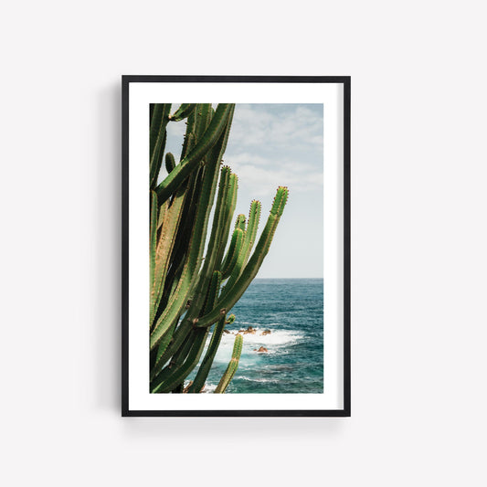 Coastal Cactus: Framed photo of a tall cactus by the ocean with waves and a blue sky.