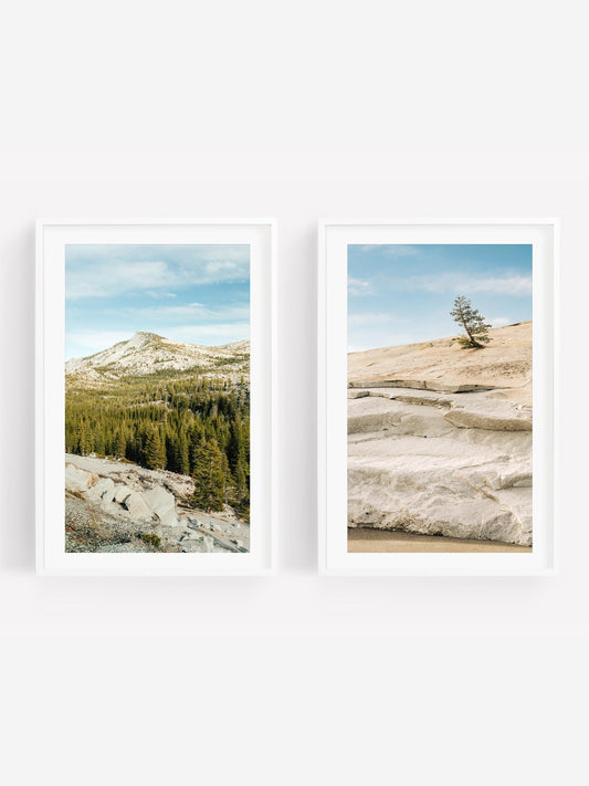 Sierra Stillness - Set of 2: framed photos of a forested mountain and a lone tree on a rocky landscape.