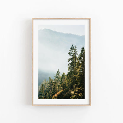 Yosemite Misty Forest Mountain Photography, Hazy Fog Landscape Print, Framed or Unframed Wall Art, Calming California National Park Photo
