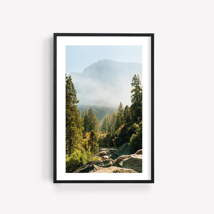 Yosemite Misty Forest Mountain Photography, Evergreen Fog Landscape, Framed or Unframed Wall Art, Calming California National Park Print