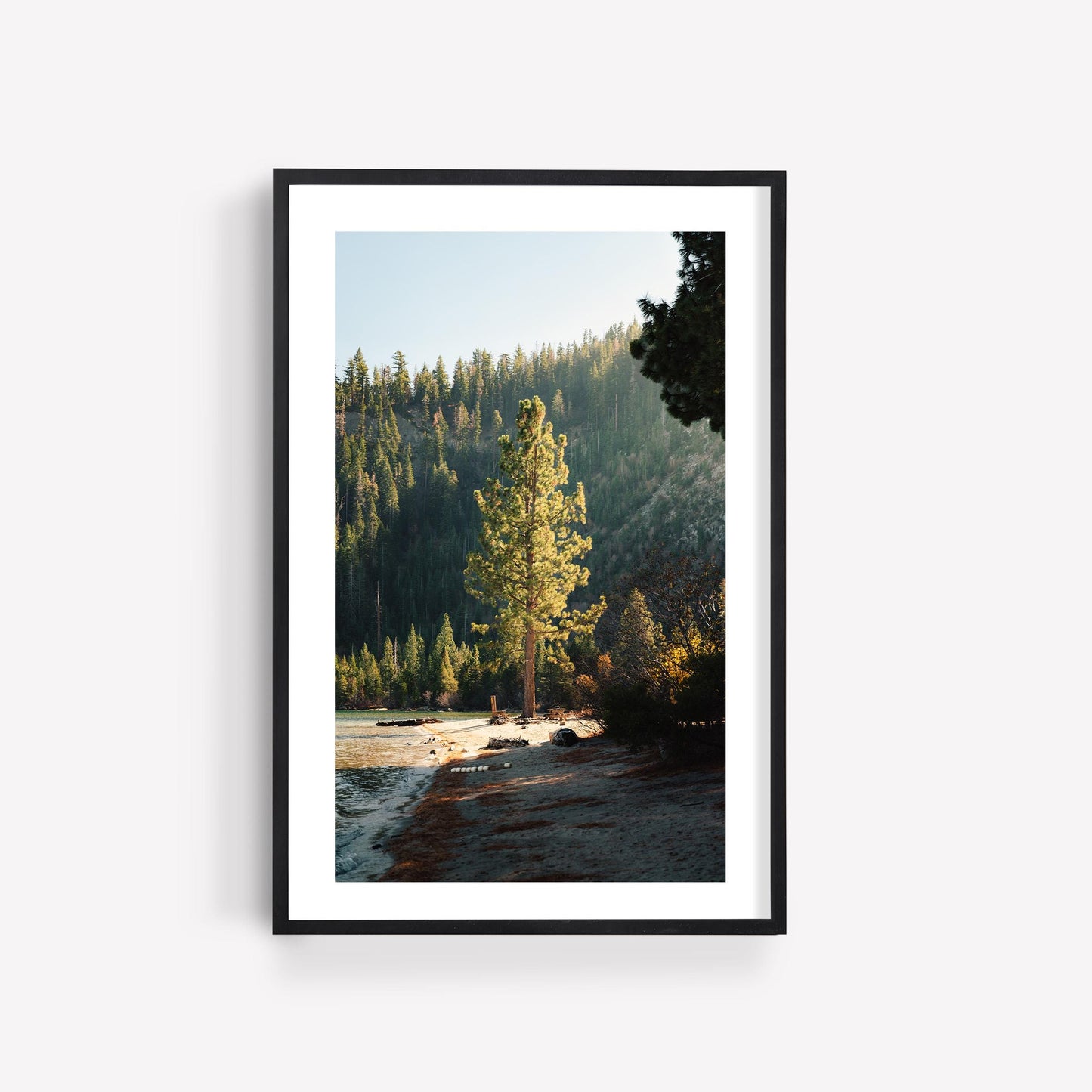 Lake Tahoe Minimalist Tree Fine Art Photography Print, Framed and Unframed Large Solitude Nature Photo, Evergreen Pine Wall Art Picture