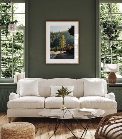 Lake Tahoe Minimalist Tree Fine Art Photography Print, Framed and Unframed Large Solitude Nature Photo, Evergreen Pine Wall Art Picture