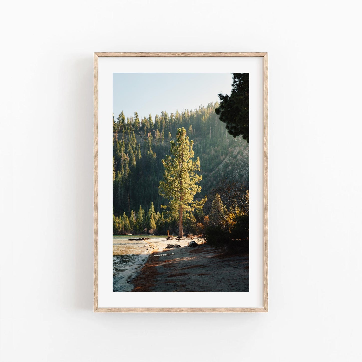 Lake Tahoe Minimalist Tree Fine Art Photography Print, Framed and Unframed Large Solitude Nature Photo, Evergreen Pine Wall Art Picture