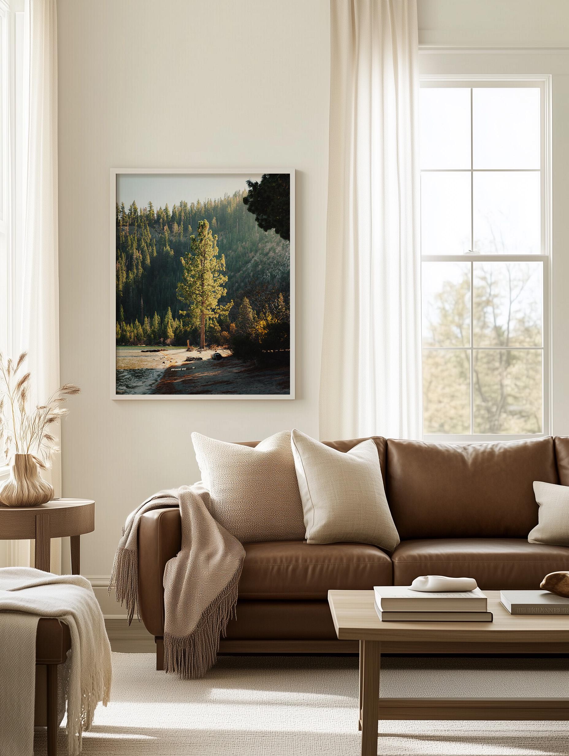 Lake Tahoe Minimalist Tree Fine Art Photography Print, Framed and Unframed Large Solitude Nature Photo, Evergreen Pine Wall Art Picture