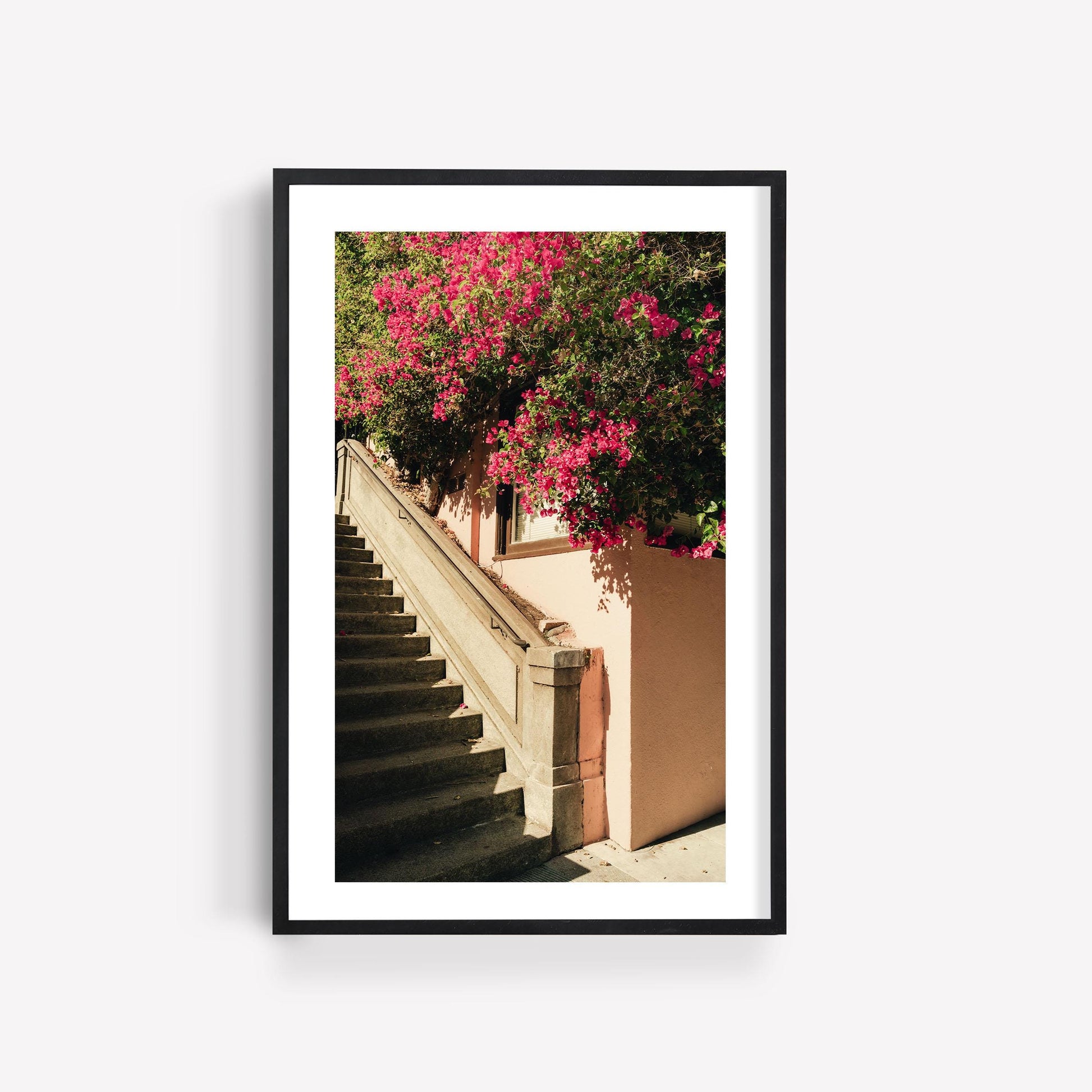 San Francisco Pink Bougainvillea Flowers Fine Art Photography Wall Art, California Floral Photography, Flower Photo Artwork