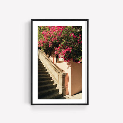 San Francisco Pink Bougainvillea Flowers Fine Art Photography Wall Art, California Floral Photography, Flower Photo Artwork