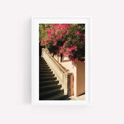 San Francisco Pink Bougainvillea Flowers Fine Art Photography Wall Art, California Floral Photography, Flower Photo Artwork