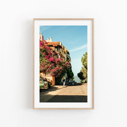 San Francisco California Pink Bougainvillea Street Photography Print, Large Framed Flower Art Photo, Floral Bay Area House Poster Print