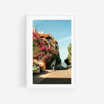 San Francisco California Pink Bougainvillea Street Photography Print, Large Framed Flower Art Photo, Floral Bay Area House Poster Print