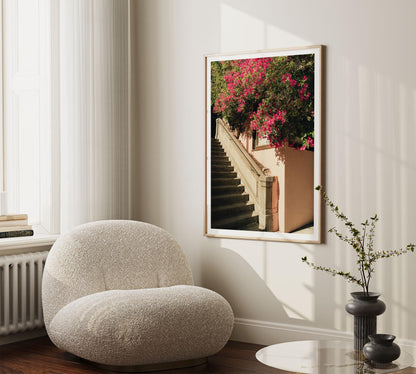 San Francisco Pink Bougainvillea Flowers Fine Art Photography Wall Art, California Floral Photography, Flower Photo Artwork