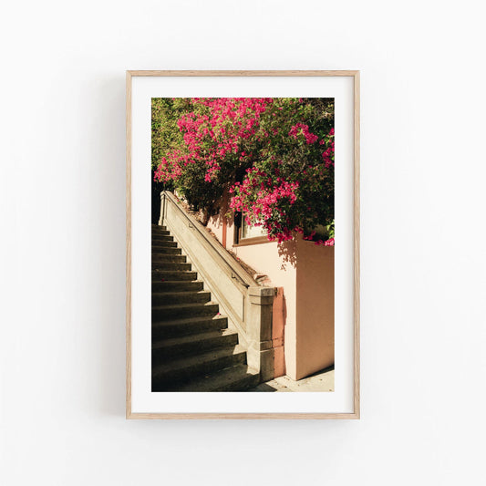 San Francisco Pink Bougainvillea Flowers Fine Art Photography Wall Art, California Floral Photography, Flower Photo Artwork