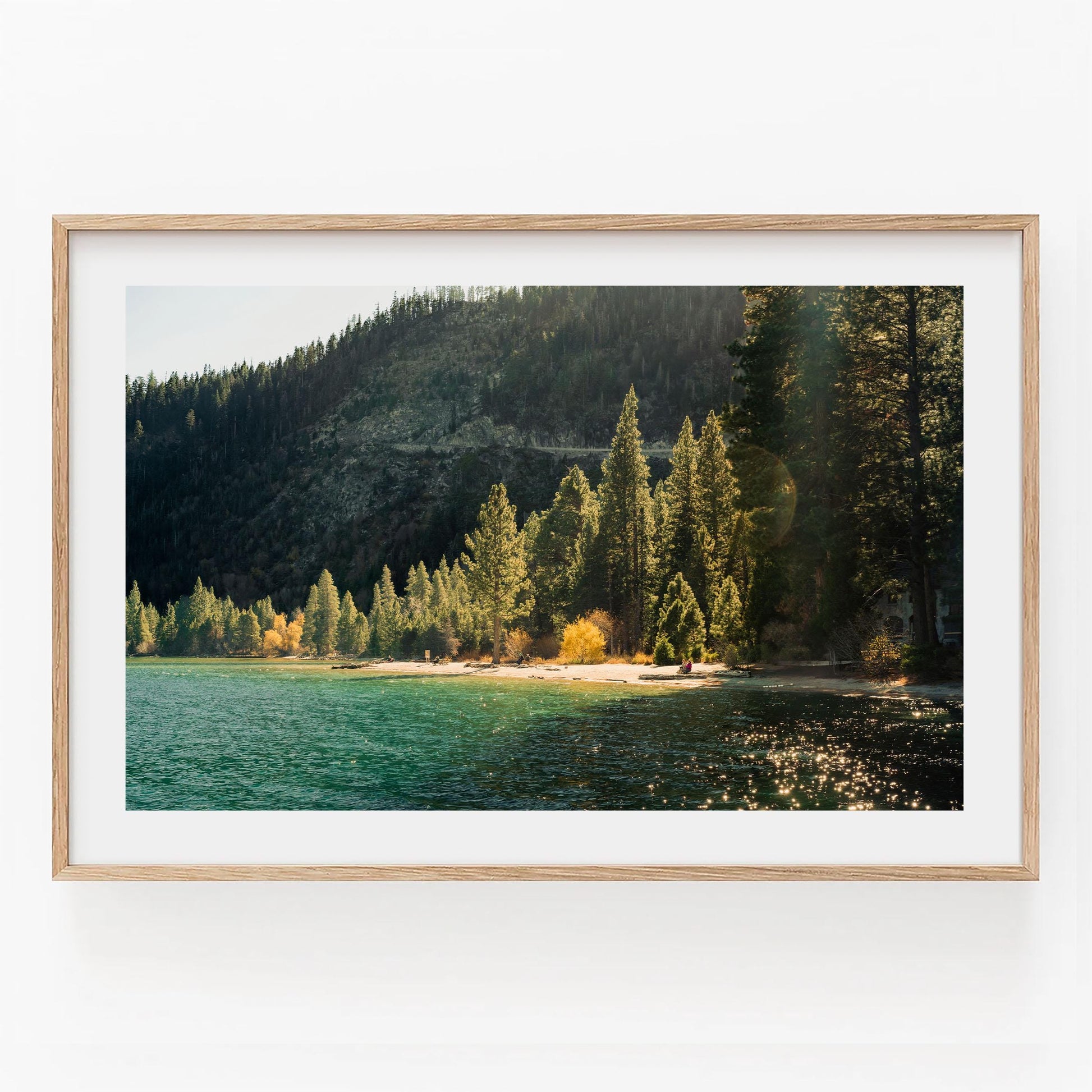 Lake Tahoe Shoreline Photography, Golden Hour Pine Trees Print, Alpine Lake Mountainscape, Framed Photo Wall Art