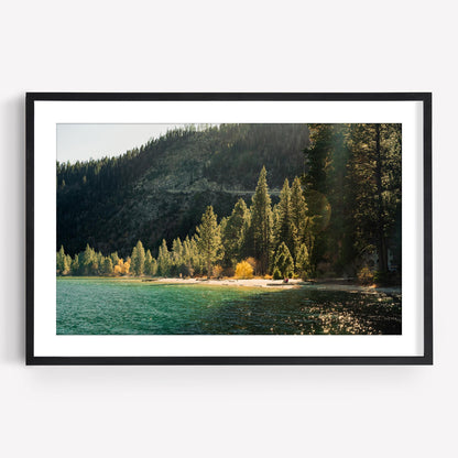 Lake Tahoe Shoreline Photography, Golden Hour Pine Trees Print, Alpine Lake Mountainscape, Framed Photo Wall Art