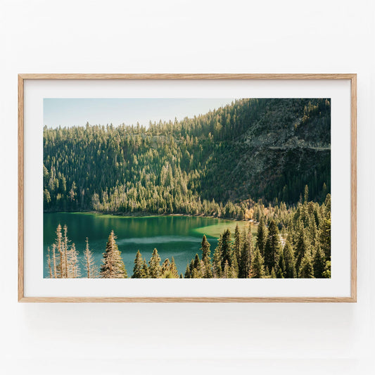 Lake Tahoe Sierra Nevada Photography, Lakeside Pine Trees Print, Alpine Lake Mountainscape, Framed Photo Wall Art