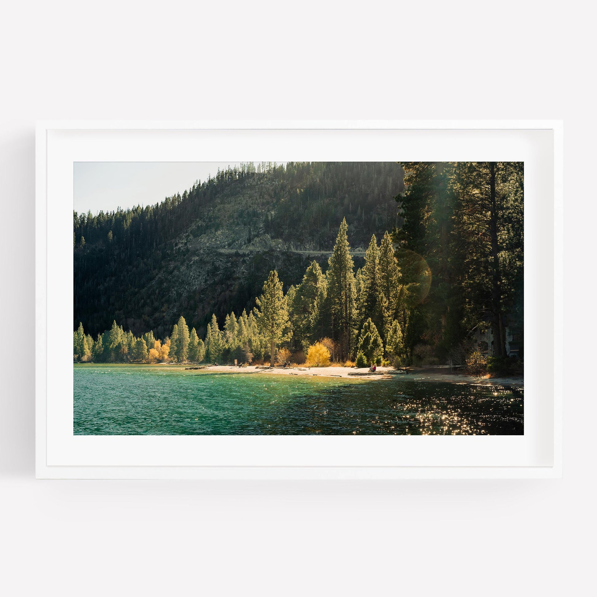Lake Tahoe Shoreline Photography, Golden Hour Pine Trees Print, Alpine Lake Mountainscape, Framed Photo Wall Art
