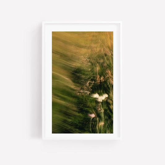 Dreamy Wildflower Photography, Abstract Nature Wall Art, Modern Rustic Botanical Floral Print, Motion Blur Landscape