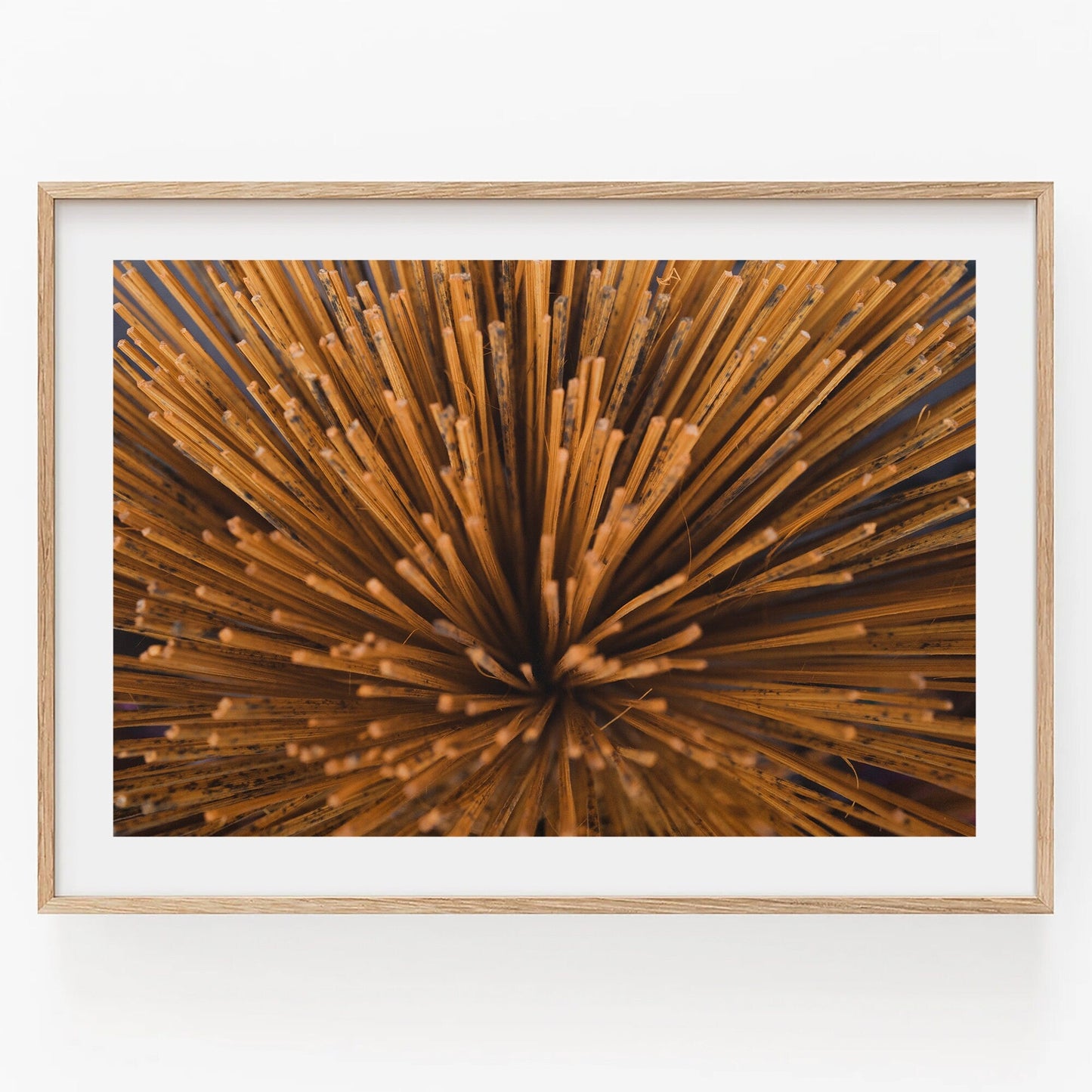 Framed image of raw spaghetti fanned out, viewed from above. Product: Incense.