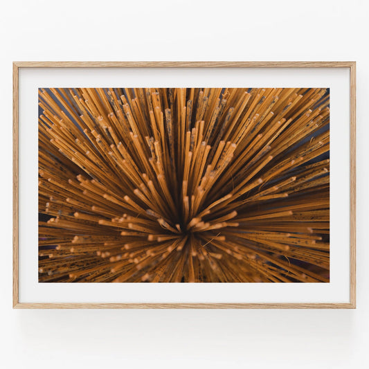 Framed image of raw spaghetti fanned out, viewed from above. Product: Incense.