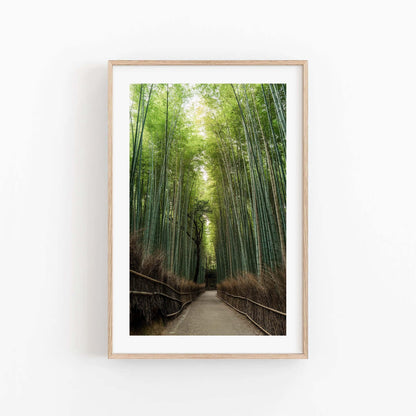 Set of 3 framed photos of a serene bamboo forest path under a light-filled sky: Japanese Lush.