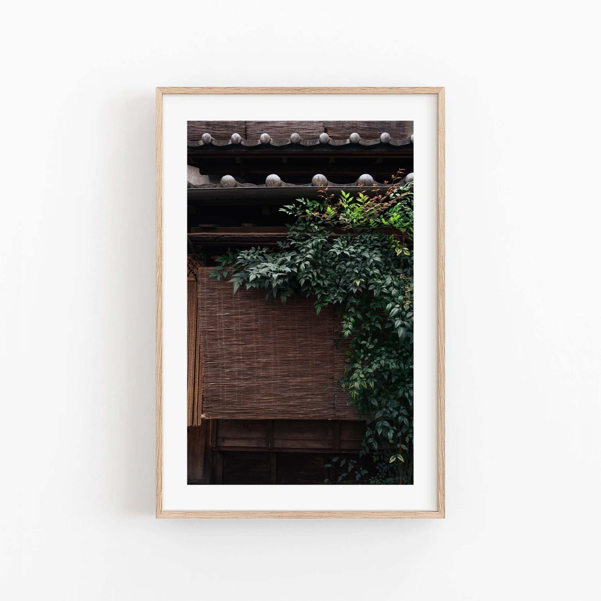 Framed set of 3 photographs titled Japanese Serenity, featuring a traditional building adorned with lush green ivy on a white wall.